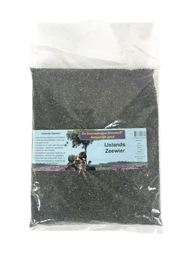 Icelandic Seaweed for Animal Feed