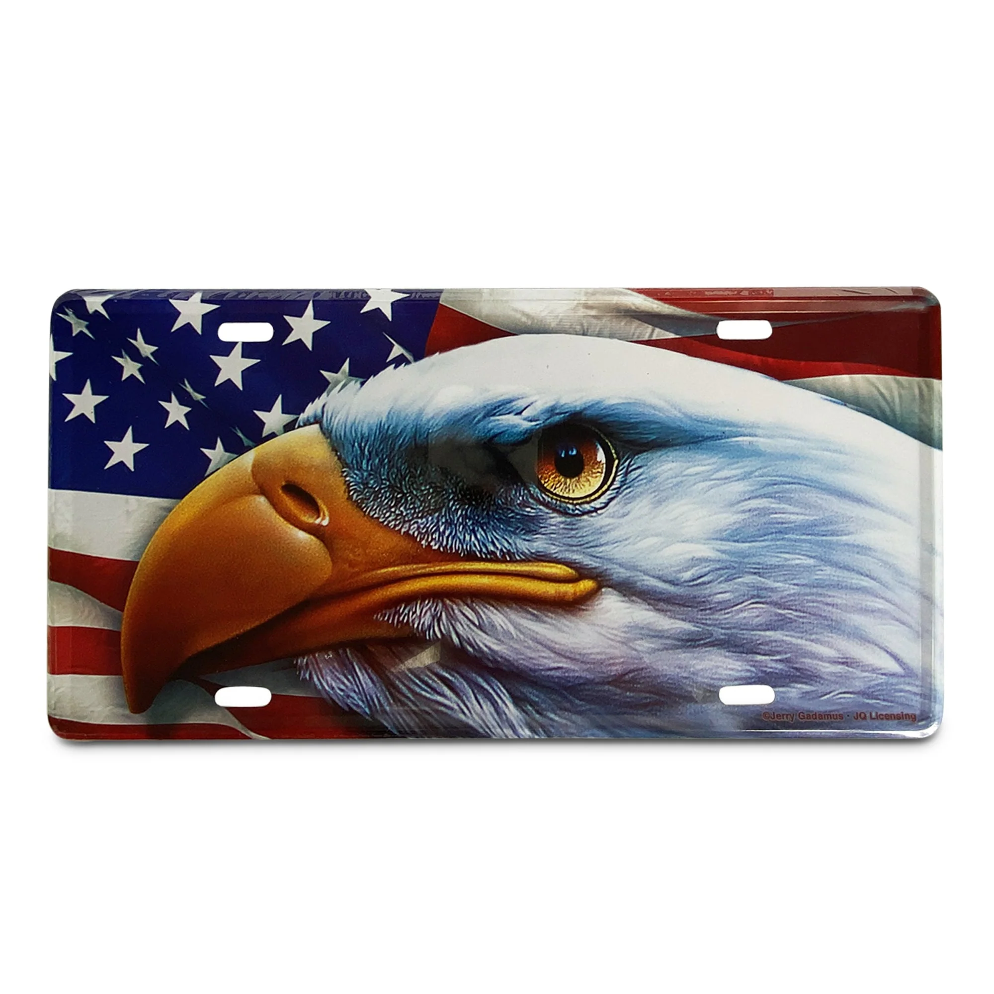 Vanity License Plate 12in x 6in-American Eagle