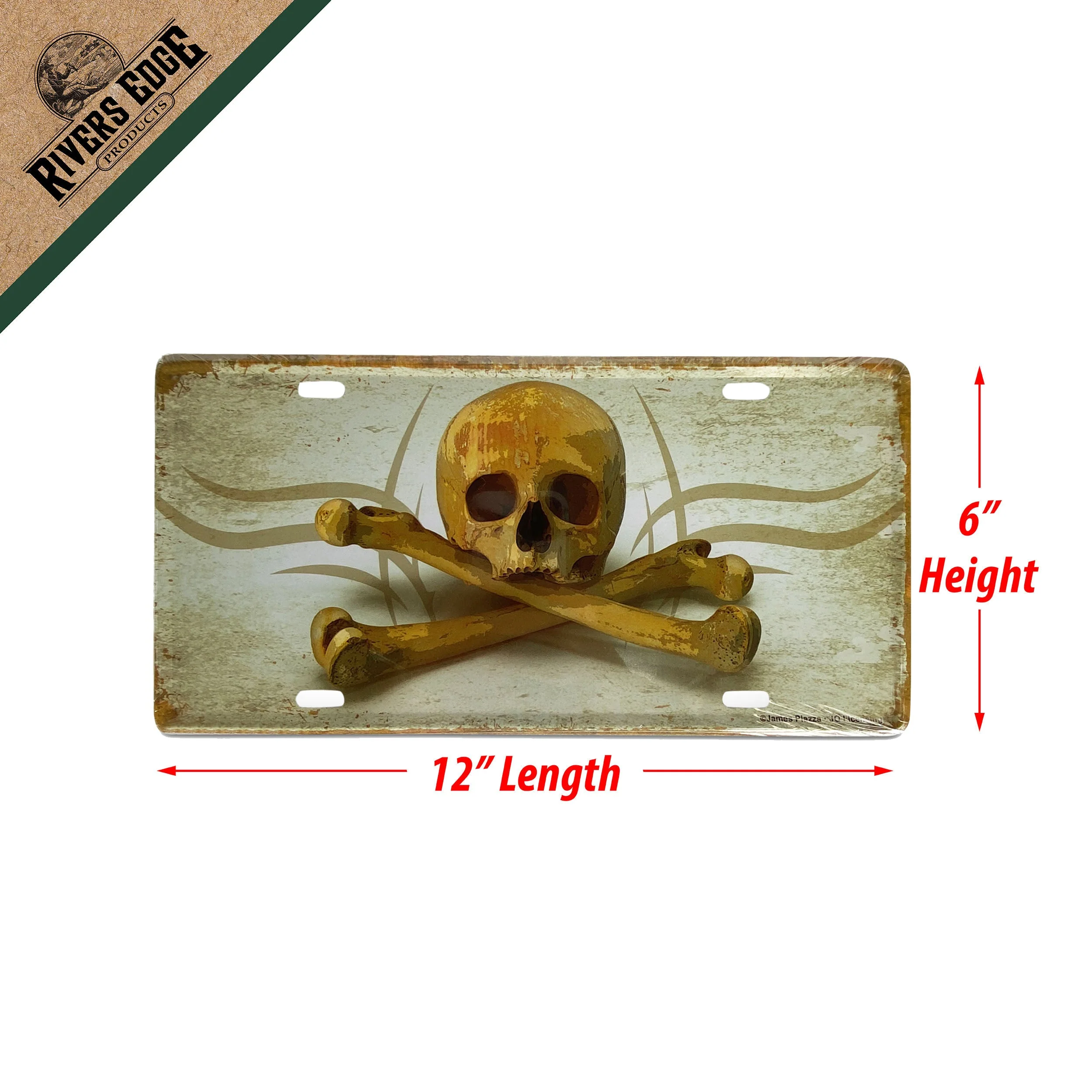Vanity License Plate 12in x 6in-Skull and Crossbones - Image 2