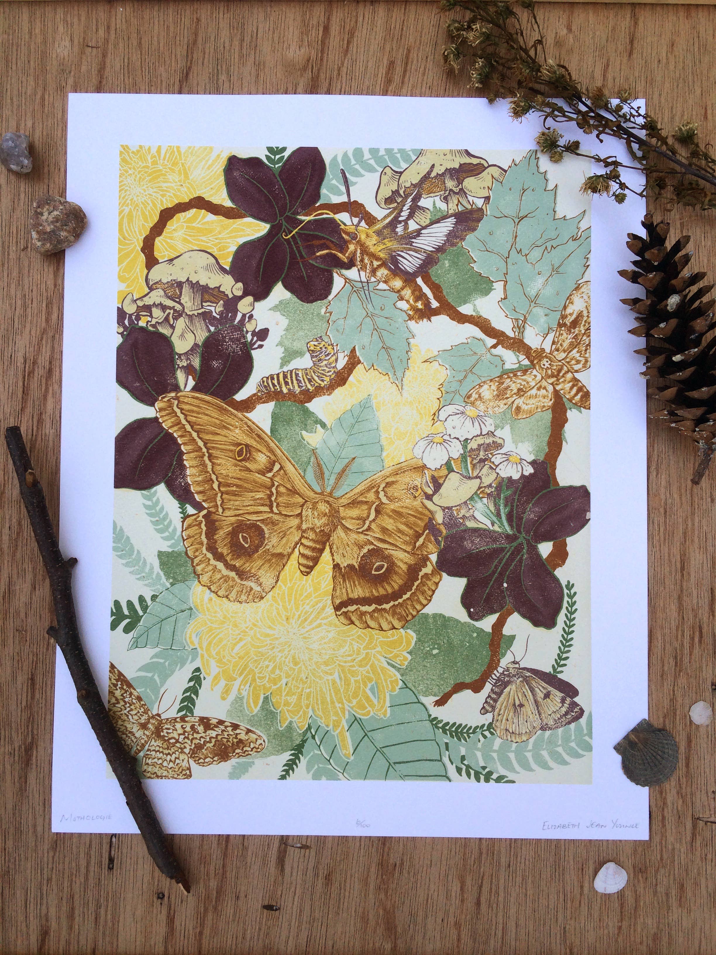 Moth Giclee Print 11x14" - Image 2