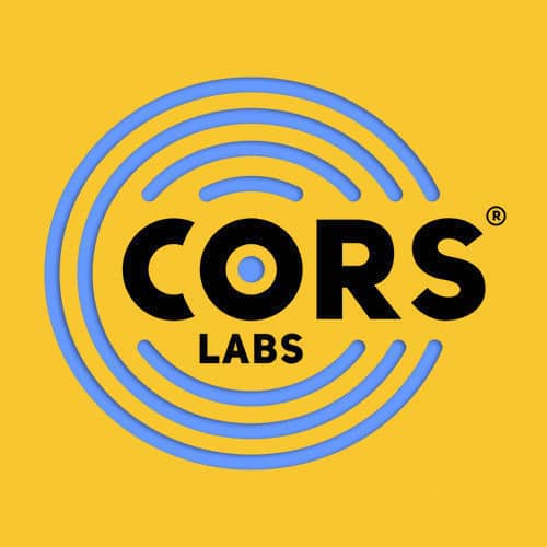 CORS Point 5” DD Coil for Teknetics T2 Metal Detector with Cover - Image 3