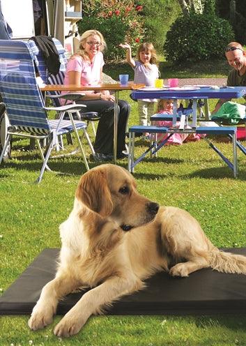 Bia bed mattress, dog bed, black – orthopedic dog mattress - available in various sizes - Image 3