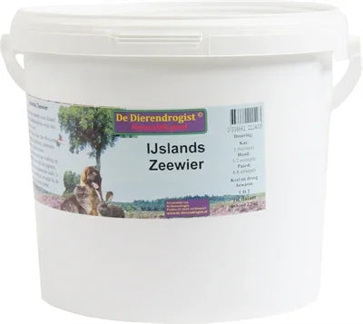 Icelandic Seaweed for Animal Feed - Image 3