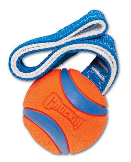 Chuckit! Ultra Tug Small - piłka na taśmie do aportu i szarpania - Image 2