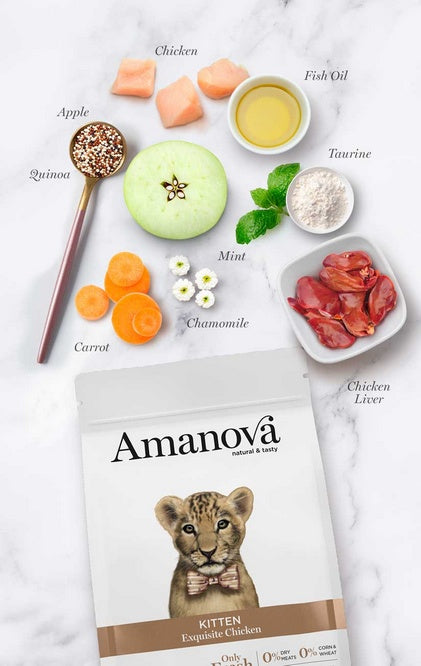 Amanova Cat Kitten Exquisite Chicken - 66% świeżego kurczaka dla kociąt - Image 2
