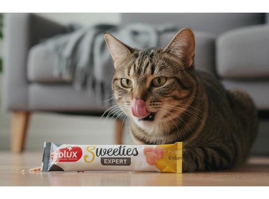 Zolux Sweeties Kremowy przysmak dla kota - kurczak 14g - Image 3
