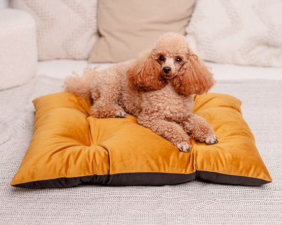 MIMIKO Pets Legowisko Poducha Velvet 70x50cm musztarda - Image 2