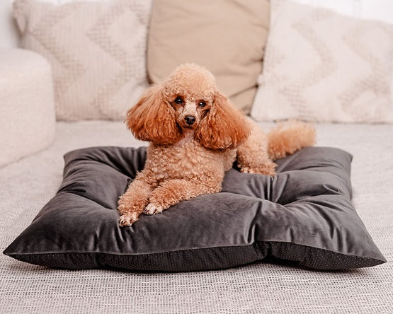 MIMIKO Pets Legowisko Poducha Velvet 70x50cm grafit - Image 2