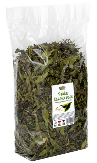 Alegia babka lancetowata 300 g - naturalne wsparcie dróg oddechowych i trawienia - Image 2