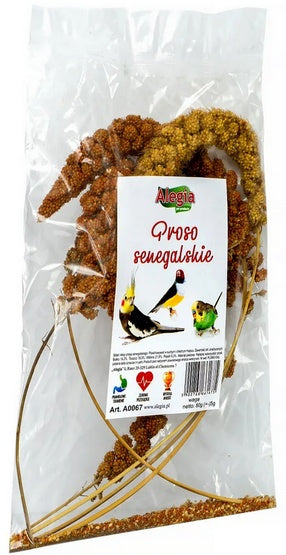Alegia Proso senegalskie 80 g - naturalne kłosy do skubania - Image 2