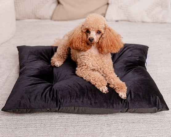MIMIKO Pets Legowisko Poducha Velvet 70x50cm czarna - Image 2