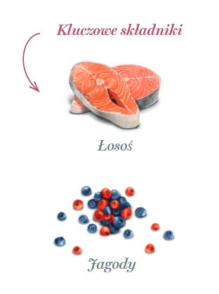 Amanova Dog Salmon Bites - hipoalergiczne treserki z łososiem - Image 2
