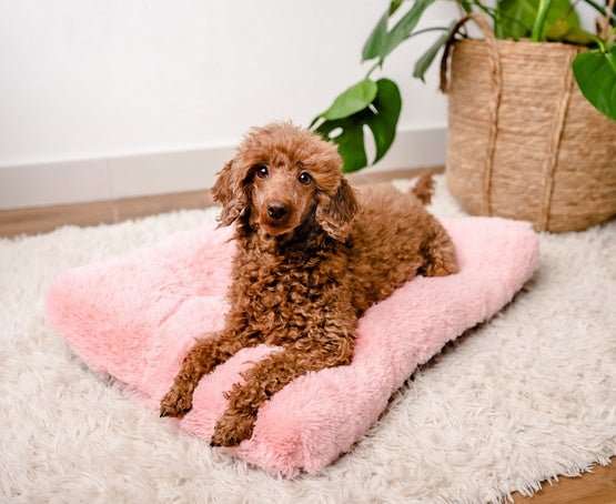 MIMIKO Pets legowisko Shaggy prostokątne L 65x45 cm różowe - antypoślizgowy spód i miękka tkanina - Image 2