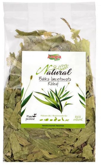 Alegia babka lancetowata 100g - ziołowy przysmak wspierający trawienie i drogi oddechowe - Image 2