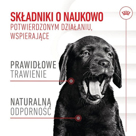 Royal Canin Immunity & Digestion Chews Puppy Supplements 100g - wsparcie odporności i trawienia w jednym gryzaku - Image 2