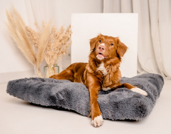 legowisko Shaggy prostokątne XL 85x65 cm MIMIKO Pets grafitowe - antypoślizgowy spód i miękki plusz - Image 2