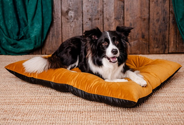 MIMIKO Pets Legowisko Poducha Velvet 100x70cm musztarda - Image 2