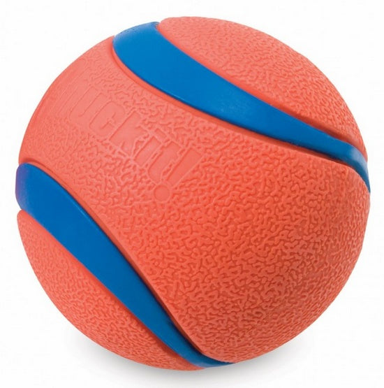 Chuckit! ultra ball - sprężysta piłka do aportowania dla aktywnych psów - xl 9 cm - Image 2