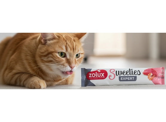 Zolux Sweeties Kremowy przysmak dla kota - tuńczyk i krewetka 14g - Image 3