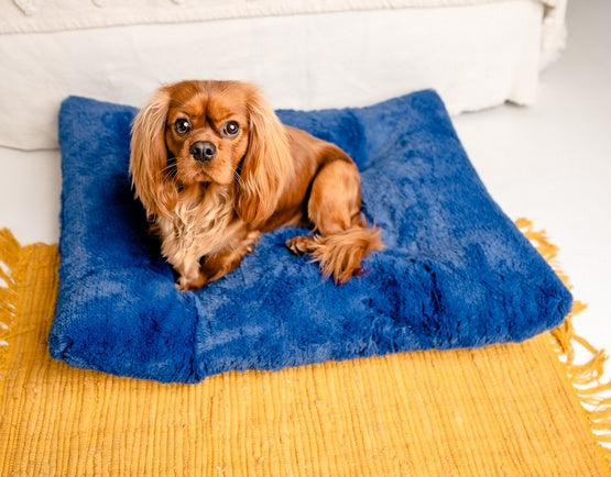 legowisko MIMIKO Pets Shaggy prostokątne XL 85x65 cm chabrowe - puszysta tkanina z antypoślizgowym spodem - Image 2