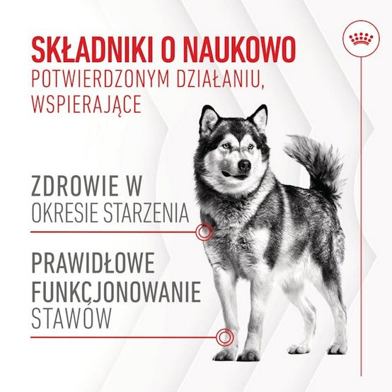 Royal Canin Joint & Ageing Chews Adult Supplements 240g - wsparcie stawów i zdrowego starzenia - Image 2
