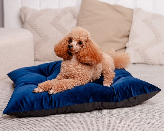 MIMIKO Pets Legowisko Poducha Velvet 70x50cm granat - Image 2