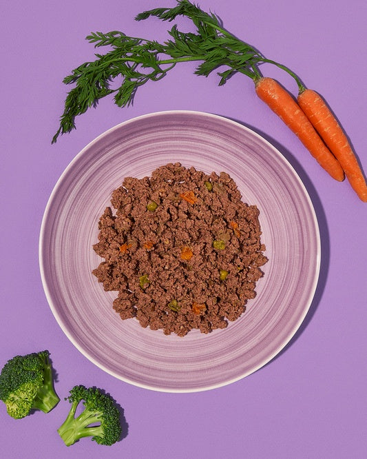 Amanova Dog Adult Brilliant Beef & Chicken - świeże mięso wołowe i kurczak w saszetce 300 g - Image 2