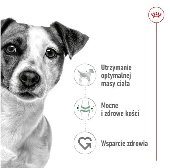Royal Canin Mini Adult karma sucha dla psów dorosłych, ras małych 0,8kg - Image 2