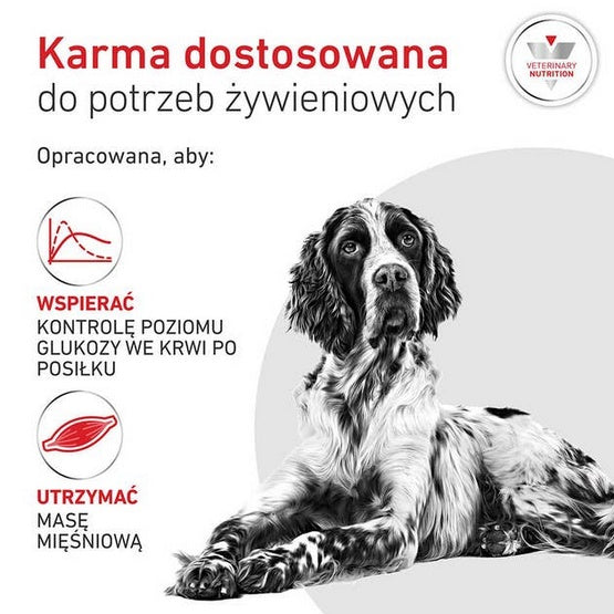 Royal Canin Veterinary Diet Canine Glycobalance Low Carbohydrate Loaf puszka 410g - Image 2