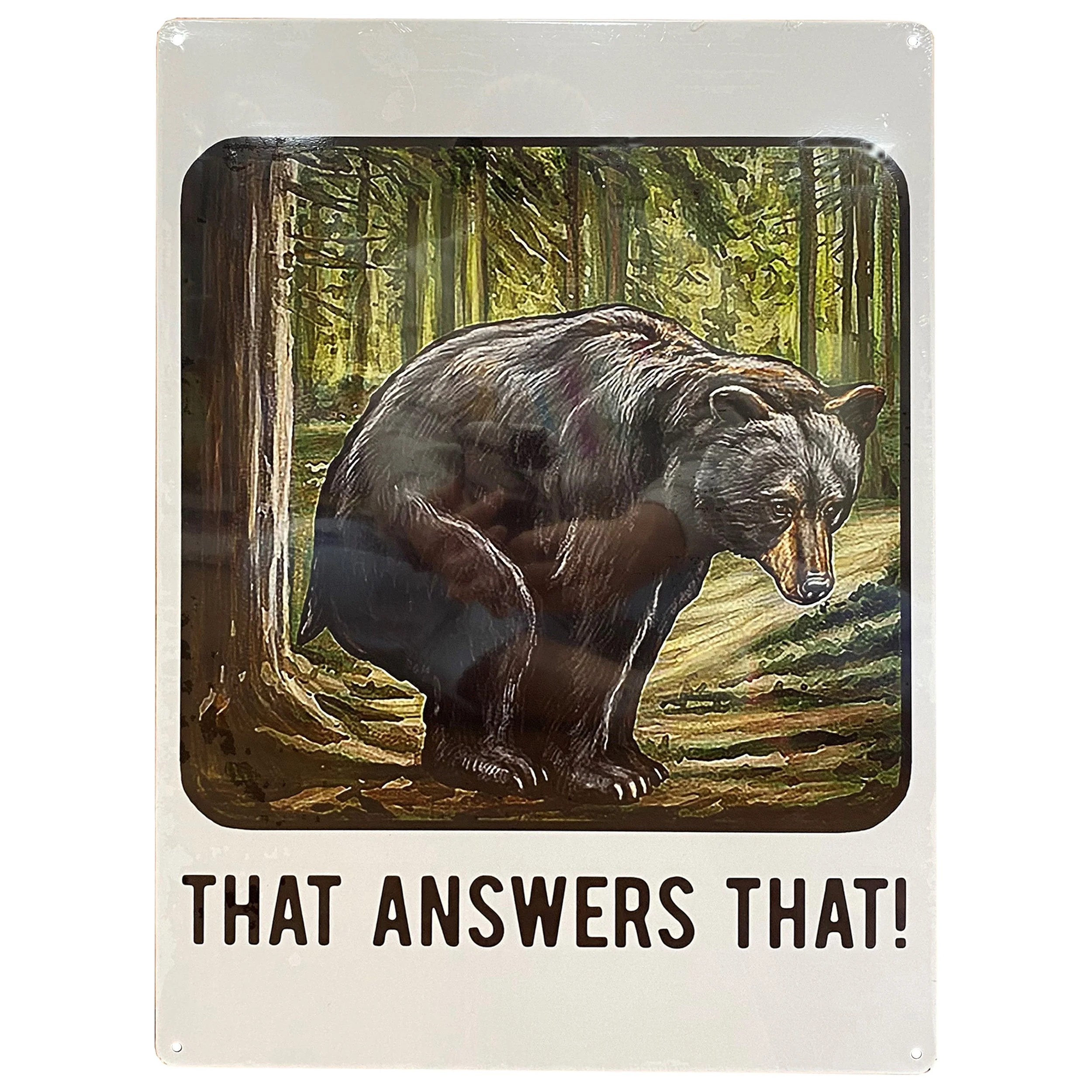 Tin Sign 12in x 17in-That Answers That - Image 1