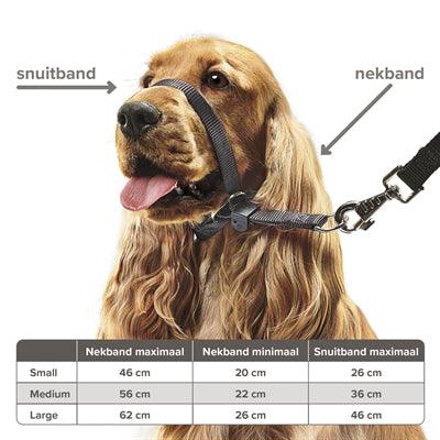 Gentle Leader® Head Collar – Prevents Dog Pulling – Sizes: Medium and Large - Image 2