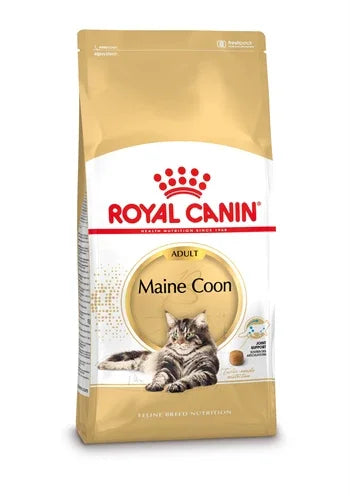Royal Canin Maine Coon – Special cat food for Maine Coons from 15 months - Image 1