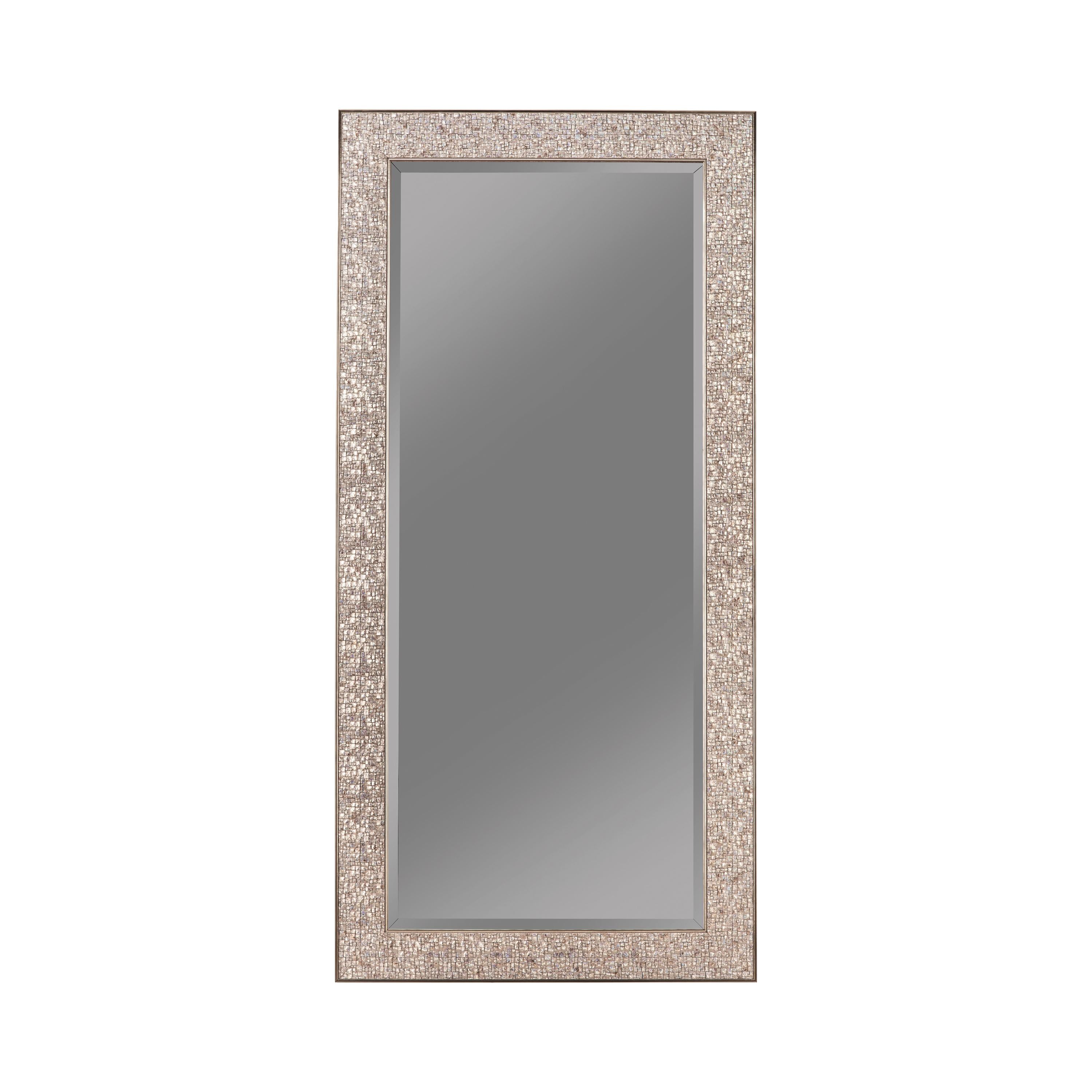 Coaster Furniture Rollins 901997 32 x 66 Inch Rectangular Floor Mirror - Silver - Image 1