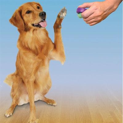 Clik-R Petsafe Clicker for Training - Compact & Lightweight - Image 3