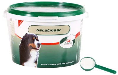 Primeval Gelatinized Dog Food - Image 2