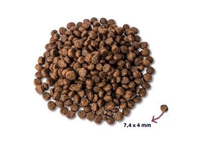 Renske Super Premium Puppy - Chicken & Lamb - Easily digestible food for young dogs - 2 kg to 12 kg - Image 2