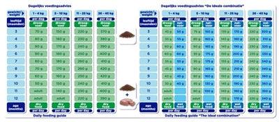 Renske Super Premium Puppy - Chicken & Lamb - Easily digestible food for young dogs - 2 kg to 12 kg - Image 3