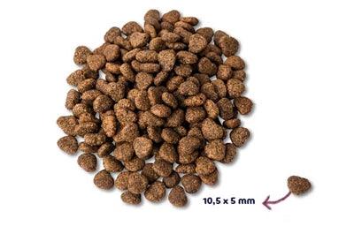 Renske Super Premium Grain Free - Fresh Chicken - For sensitive dogs - 2 kg to 12 kg - Image 2