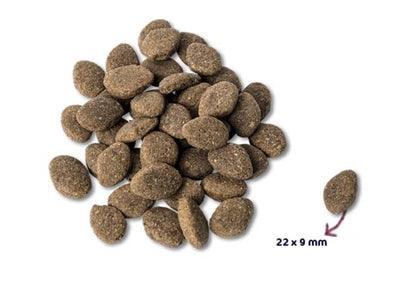 Renske Super Premium Adult - Lamb Grain Free - For healthy teeth and grain allergies - 2 kg to 12 kg - Image 2