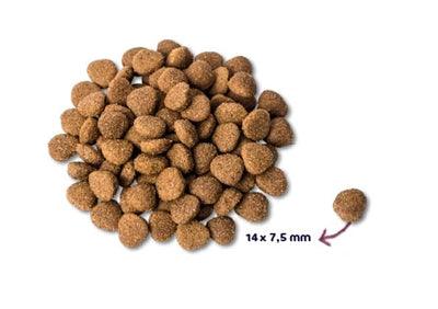 Renske Super Premium Adult - Turkey & Duck - For a healthy immune system - 2 kg to 12 kg - Image 2