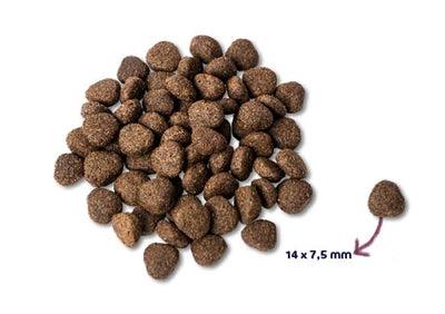 Renske Super Premium Adult - Salmon Grain Free - For a slim and healthy dog ​​- 2 kg to 12 kg - Image 2