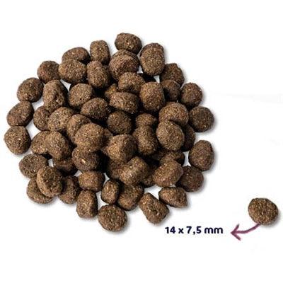 Renske Super Premium Senior - Turkey Grain-free - For strong bones and healthy teeth - 2 kg to 12 kg - Image 2