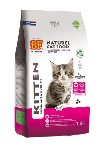 BF Petfood Premium Quality Cat Kitten Pregnant/Nursing – For kittens, pregnant and lactating cats