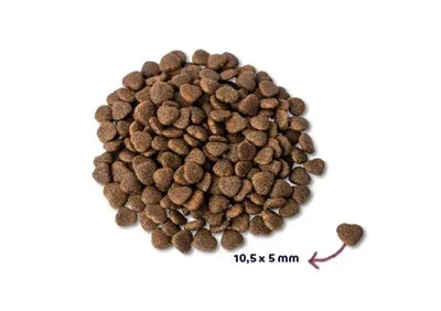 Renske Super Premium Adult Fresh Salmon – Grain-free cat food with 36% fresh salmon - Image 2