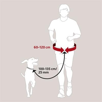 Trixie Waist Belt with Jogging Leash, Black - Image 3