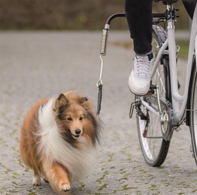 Trixie Bike Set Bicycle Bracket Springer – Suitable for dogs weighing more than 15kg - Image 3