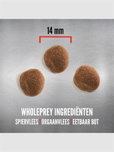 Orijen Whole Prey 6 Fish Dog Food - 100% Natural, Completely Grain-Free - 6 kg or 11.4 kg - Image 3