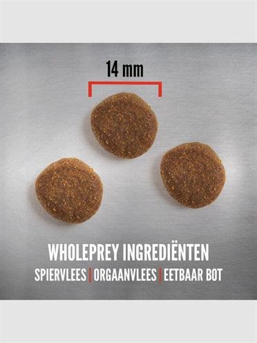Orijen Whole Prey Senior – Supports older dogs – 6 kg to 11.4 kg - Image 3