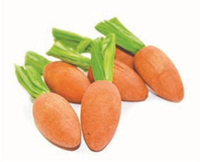 Critter’s Choice Happy Pet Carrot Nibblers Gnawing Wood