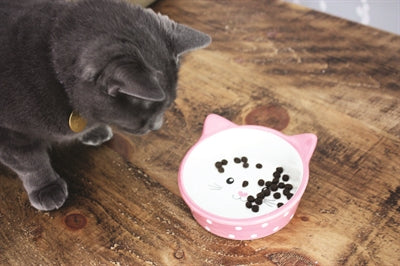Happy Pet Cat Food Bowl Polka Pink/Cream - Image 2